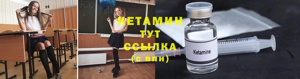 ешки Алексин